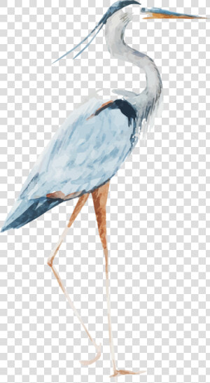 Heron Watercolor   Crane Bird Watercolor Transparent  HD Png Download