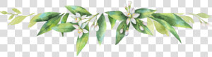 Growing In The Light And The Lifestyle Of A Priestess  HD Png Download