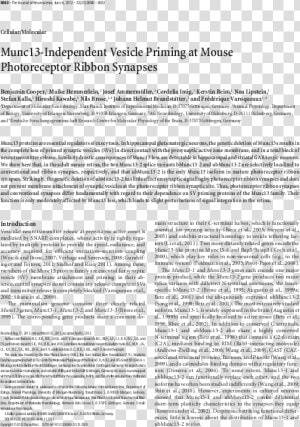 Document  HD Png Download