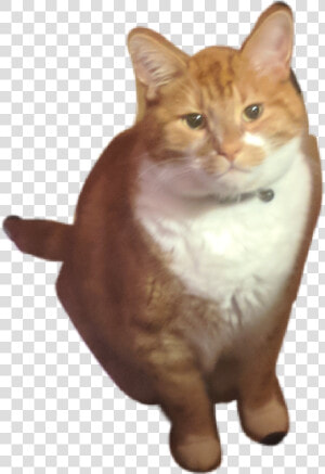  monstercat   Squitten  HD Png Download