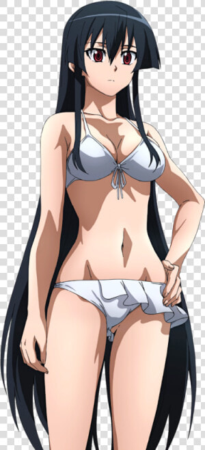 Akame Ga Kill Bikini Hentai  HD Png Download