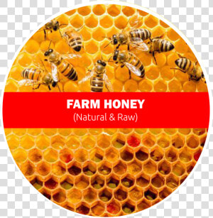 Raw Farm Honey   Bees Work Together To Make A Honeycomb  HD Png Download