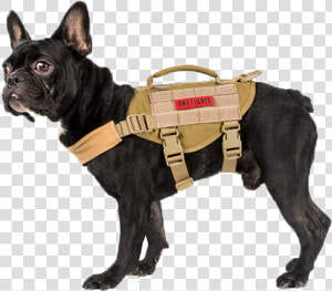 Onetigris Dog Harness  HD Png Download