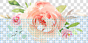  watercolor  flowers  floral  bouquet  blush  roses   Garden Roses  HD Png Download