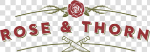 Rose And Thorn Denver  HD Png Download