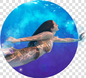 Mermaid Swimming   Underwater  HD Png Download
