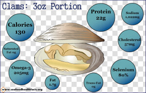 Seafood Nutrition  HD Png Download