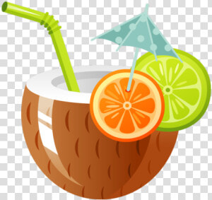 Volunteer Chccs Project Graduation   Coconut Drink Clipart  HD Png Download