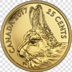 2017 Predator Vs Prey 25 Cent Gold Coin  HD Png Download