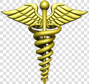 Transparent Hermes Clipart   Symbol Of The Medical Field  HD Png Download