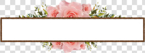 Freetoedit Frame Flowers Marco Cartel   Garden Roses  HD Png Download