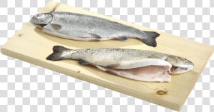 Eciens Seafood Trout Gutted   Touladi  HD Png Download