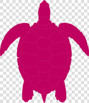 Transparent Turtle   Silhouette Turtle Vector Png  Png Download