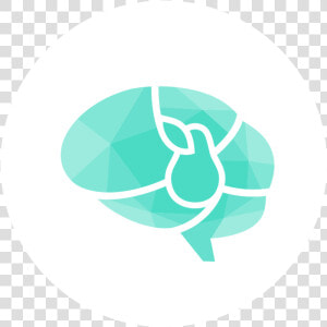 Programs Full Size   Emblem  HD Png Download