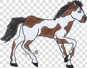 Foal  HD Png Download