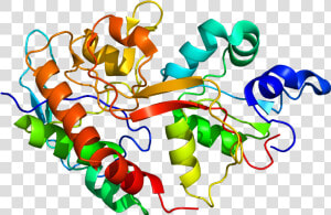 Protein Grin2b Pdb 1s11   Grin2b Gene  HD Png Download