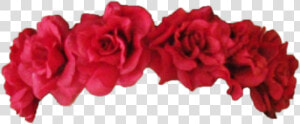  flowers  flower  png  pngtumblr  sticker  tumblr  interesting   Red Flower Crown Png  Transparent Png