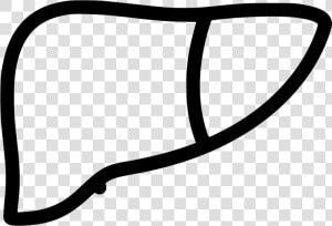 Liver  HD Png Download