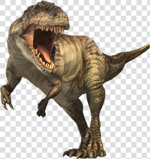 Stegosaurus T Rex Dinosaurs  HD Png Download