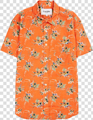 Hawaiian Button Up   Blouse  HD Png Download