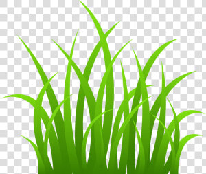 Grass Png Cartoon   Clipart Grass  Transparent Png