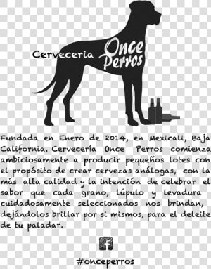 Once Perros Cerveza  HD Png Download