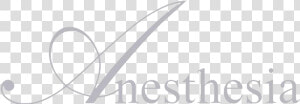 Anesthesia Contact Lens Logo   Png Download   Blade  Transparent Png