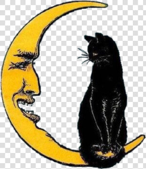 Transparent Vintage Halloween Cat Clipart   Vintage Crescent Moon Art  HD Png Download