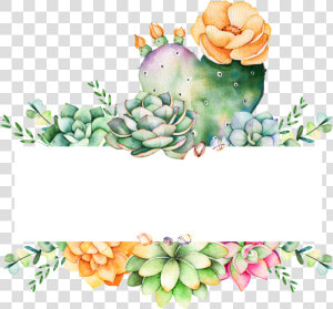 Cartoon Transparent Free Download Png Files   Succulent Logo Design Free  Png Download