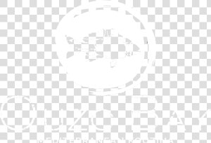 Boca Raton  Fl   Poster  HD Png Download