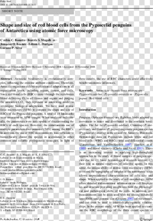Hydroxyurea Treatment Beta Thalassemia  HD Png Download