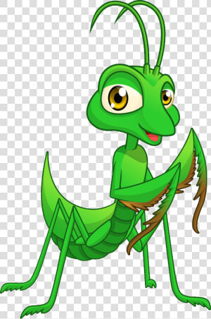 Mantis Png   Small Praying Mantis Cartoon  Transparent Png