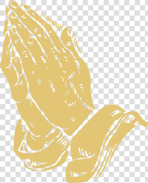 Art carnivoran beak   Praying Hands Png  Transparent Png