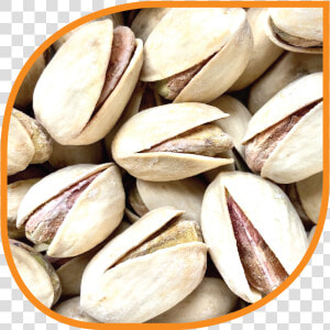 Pistachio  HD Png Download