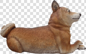 Dog Shiba Inu Animal Prop Life Size D̩ecor Resin Statue   Companion Dog  HD Png Download