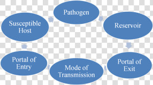 Chain Of Infection Transparent  HD Png Download