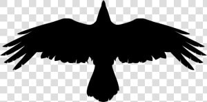 Download Crow Png Picture   Valknut Raven Norse Souls  Transparent Png