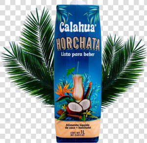 Café Y Horchata   Vacation  HD Png Download