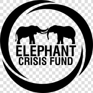 Elephant Crisis Fund Logo  HD Png Download