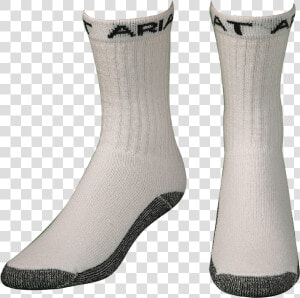 Men S Ariat 3 Pack Workboot Socks   White   Sock  HD Png Download
