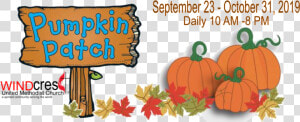 Pumkin Png  Transparent Png