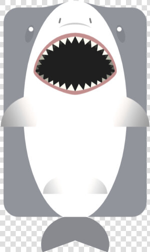 Squaliformes  HD Png Download