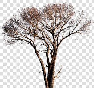 Editing Material For Photoshop  HD Png Download