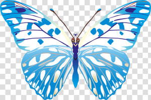 Butterfly Png Images Png   Butterfly Vector Images Png  Transparent Png