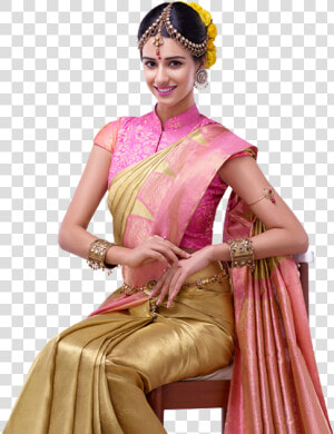 Classy Silk Saree Blouse Design   Png Download   High Neck Silk Saree Blouse Designs  Transparent Png