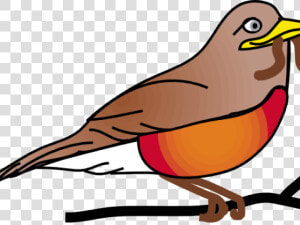 Transparent Trinidad Flag Png   Robins Birds Transparent Background  Png Download