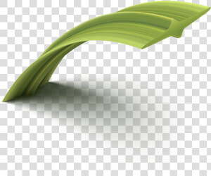 Hierochloe  HD Png Download