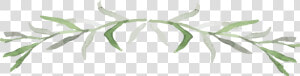 Thumb Image   Northern Catalpa  HD Png Download