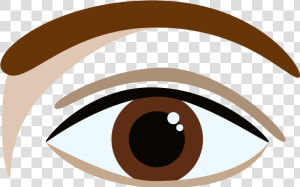 U shaped Brow   Portable Network Graphics  HD Png Download