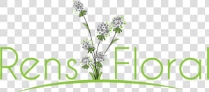 Waupun  Wi Florist   Butterfly Awards  HD Png Download